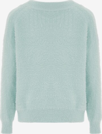 Pull-over Poomi en vert