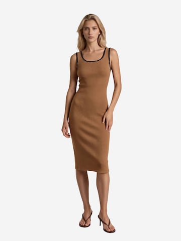 MSN Collection Obleka | rjava barva