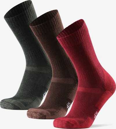 DANISH ENDURANCE Wandersocken 'Hiking Classic' in braun / bordeaux / schwarz, Produktansicht