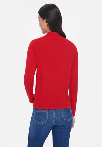 Peter Hahn Pullover in Rot