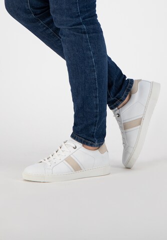 NoGRZ Sneakers in White: front