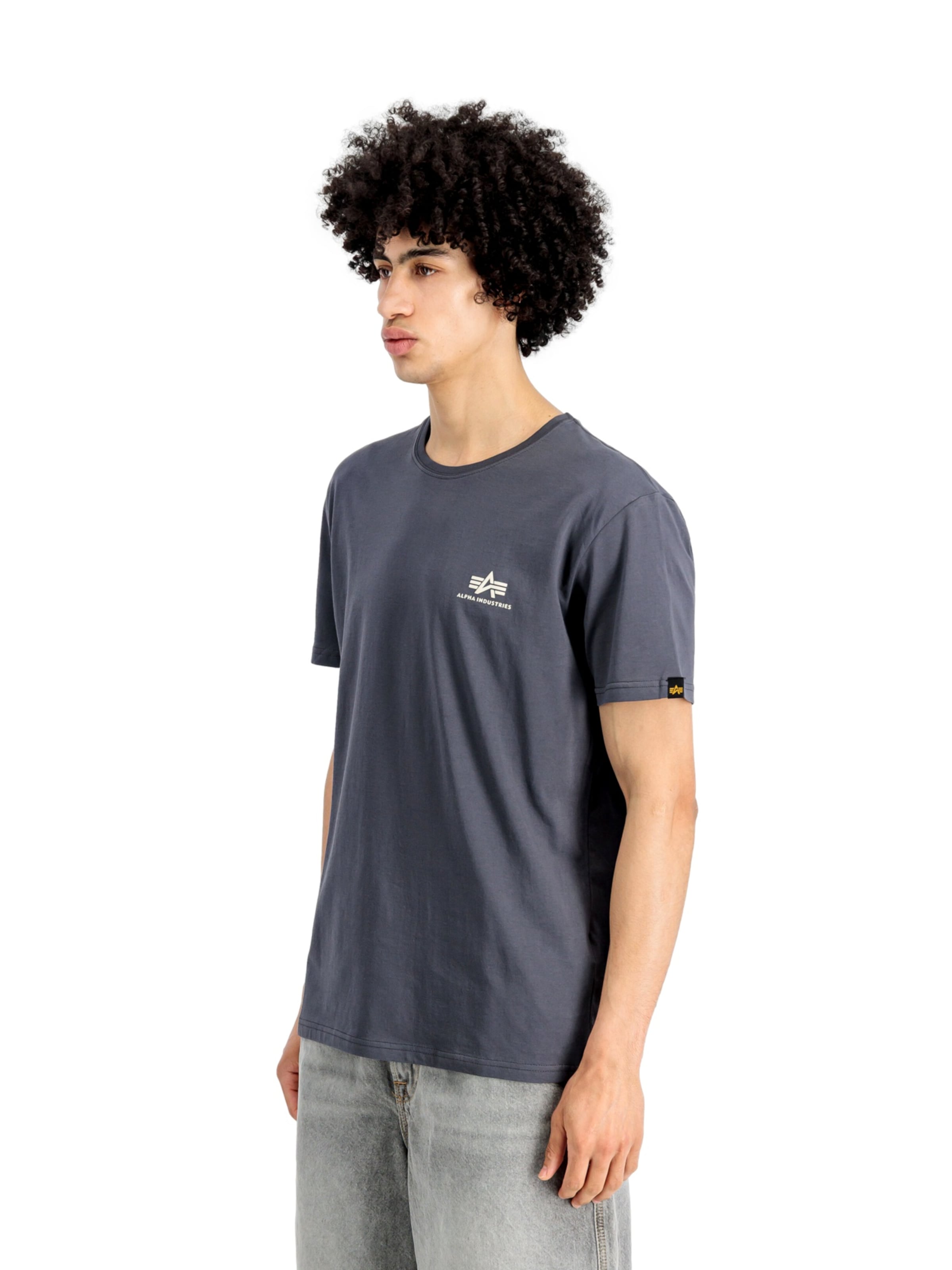 ALPHA INDUSTRIES Средняя посадка Футболка в Серый: спереди