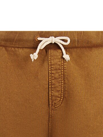 PROTEST Loosefit Broek 'CARVER' in Bruin