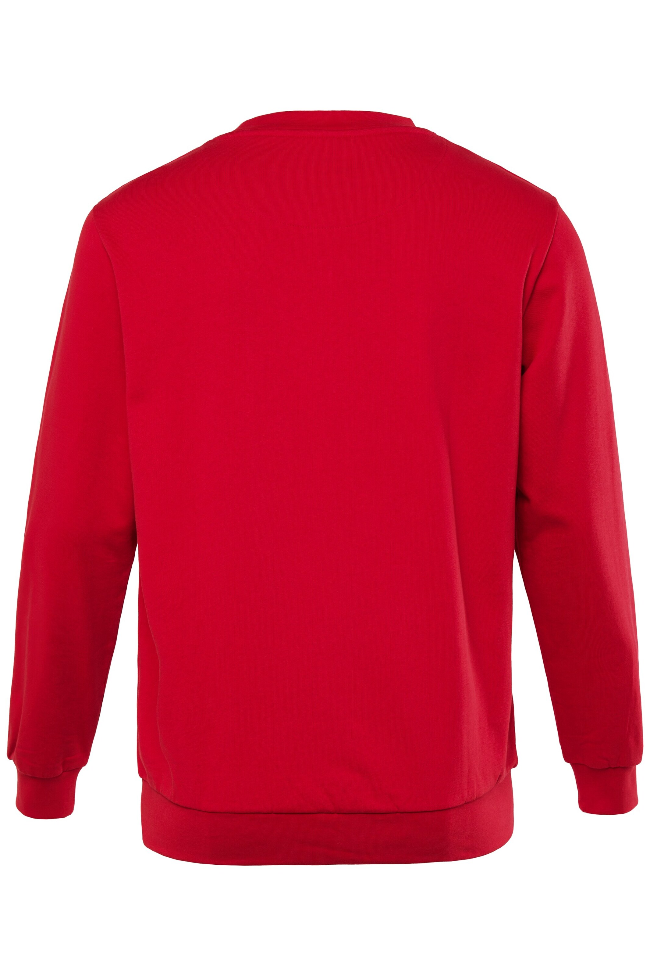 Men Plus Sweatshirt in Rood