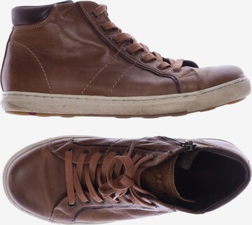 LLOYD Sneakers & Trainers in 42,5 in Brown: front