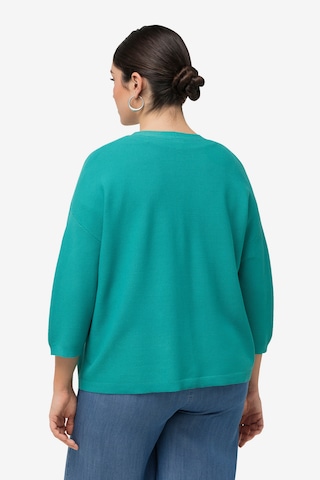 Ulla Popken Knit Cardigan in Green