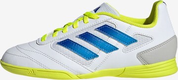 ADIDAS PERFORMANCE Sportschoen 'Super Sala II' in Wit: voorkant