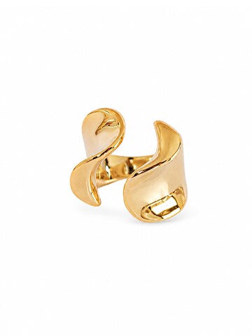 RteRme - Anillo 'Briar' en oro: frente