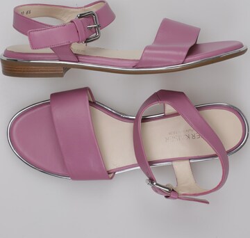 PETER KAISER Sandals & High-Heeled Sandals in 39,5 in Pink: front