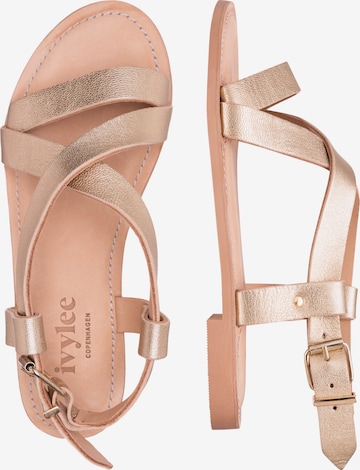 Ivylee Copenhagen Sandals 'LAURA' in Gold