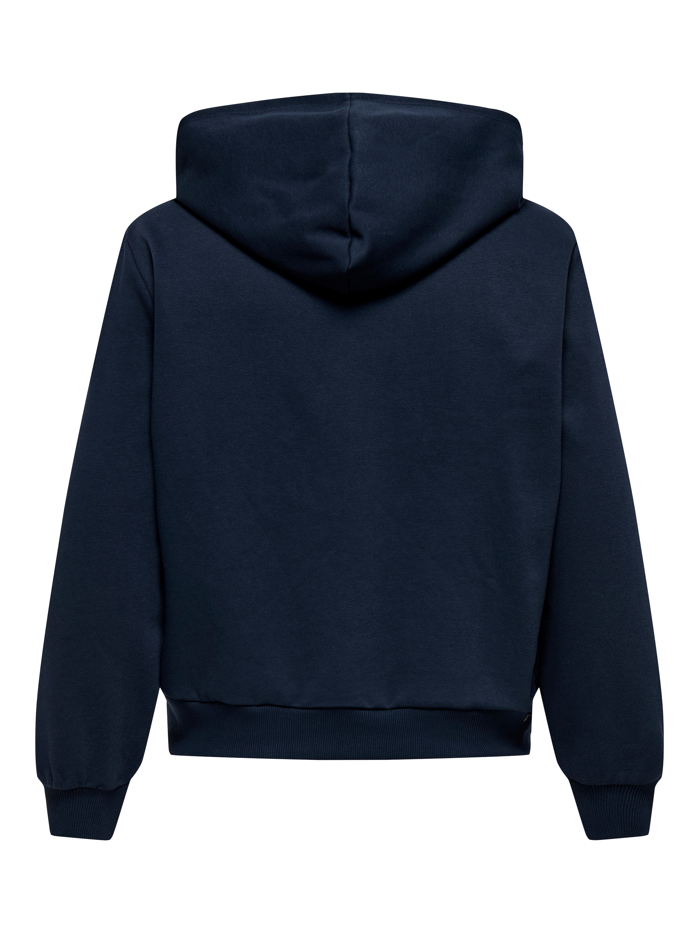 ONLY Carmakoma Sweatshirt in Blau
