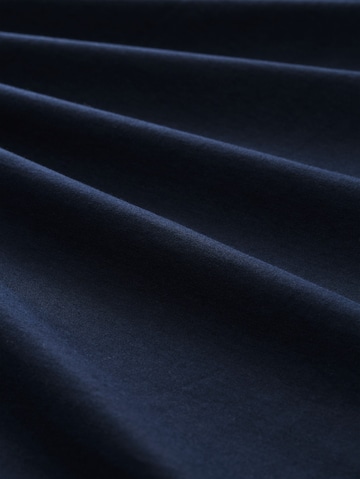 TOM TAILOR Men + Shirt in Blue