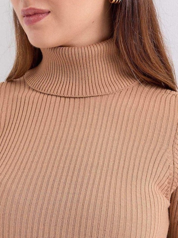 Bigdart Sweater in Beige