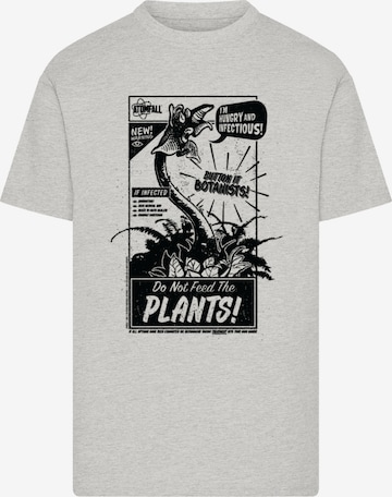 F4NT4STIC Shirt 'Atomfall' in Grey: front