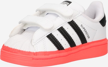 ADIDAS ORIGINALS Sneakers 'SUPERSTAR' i hvid: forside