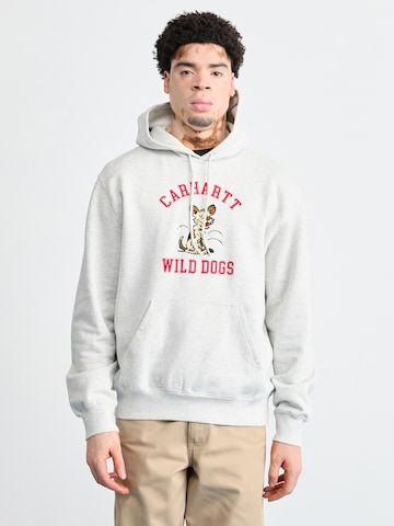 Carhartt WIP Sweatshirt in Grijs: voorkant