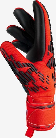 REUSCH Athletic Gloves 'Attrakt Freegel Silver' in Red