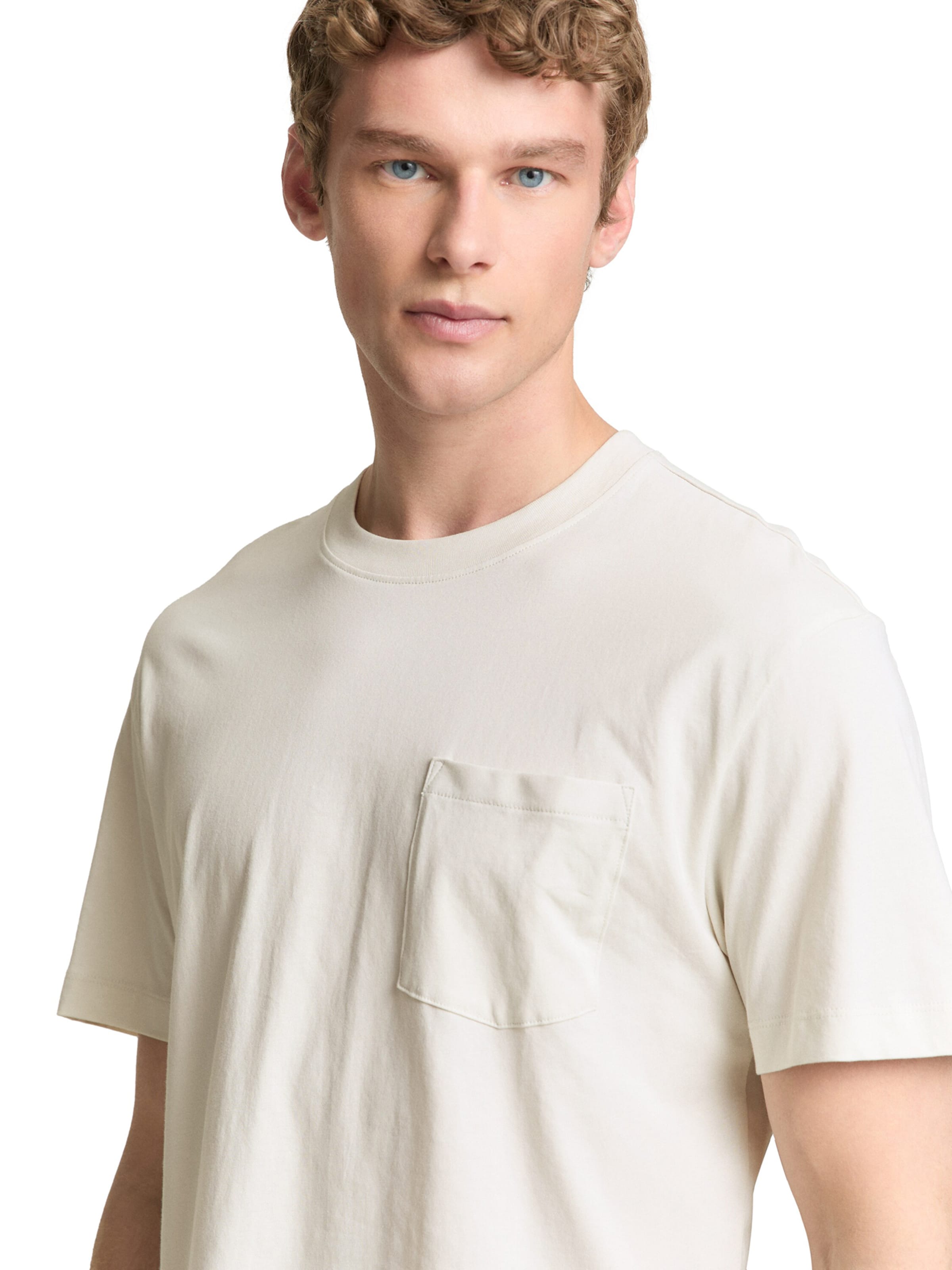 TOM TAILOR DENIM Bluser & t-shirts i grå