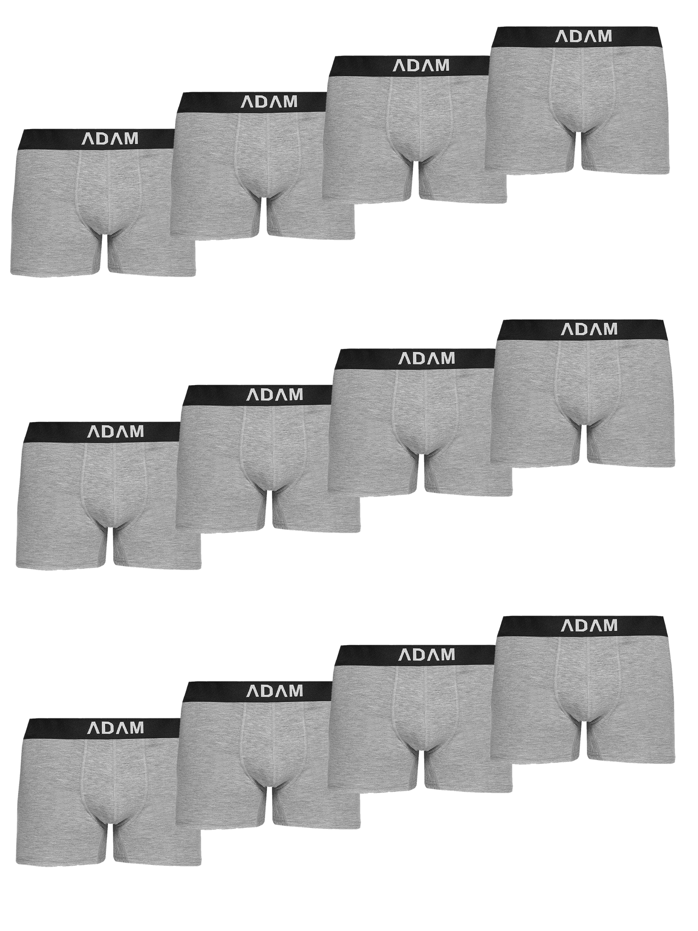 Adam Boxer shorts '12er Pack' in Grey: front