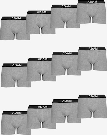 Adam Boxer shorts '12er Pack' in Grey: front