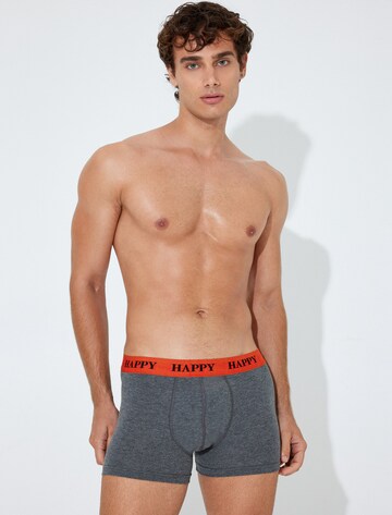 Koton Boxershorts in Grijs: voorkant