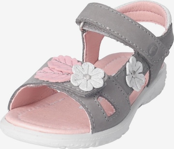 Sandale 'Cilla' de la RICOSTA pe gri: față