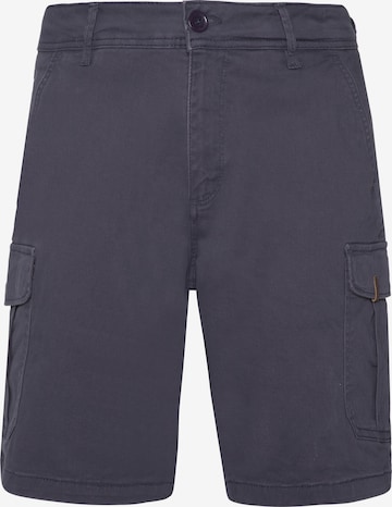 PROTEST Hose 'PRTNYTRO' in Blau: Vorderseite