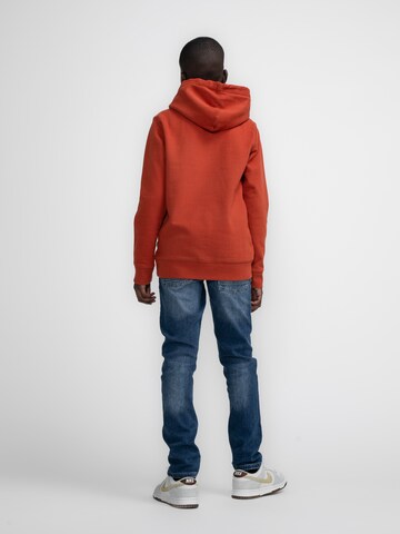 Petrol Industries Sweatshirt 'PortLions' in Bruin