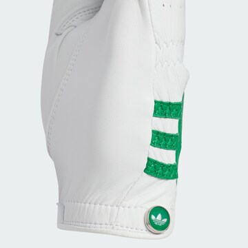 ADIDAS PERFORMANCE Sporthandschoenen in Wit