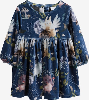 mėlyna Next Suknelė: priekis