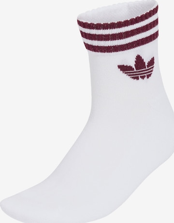 ADIDAS ORIGINALS - Meias em branco: frente