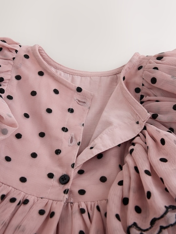 Next Kleid in Pink