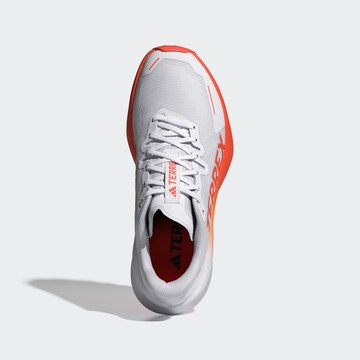 ADIDAS TERREX - Zapatos bajos 'Agravic 3' en blanco