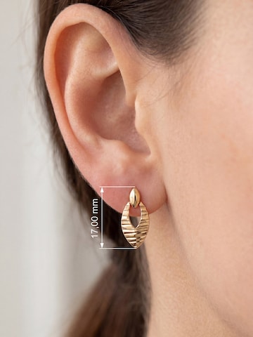 Jobo Earrings in Gold