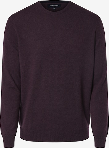 Andrew James Sweater in Purple: front