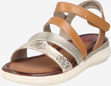 JANA Strap Sandals in Brown: front