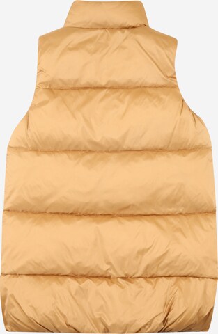 Gilet TOMMY HILFIGER en beige