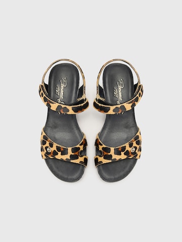 PANAMA JACK Sandals 'Julia' in Brown