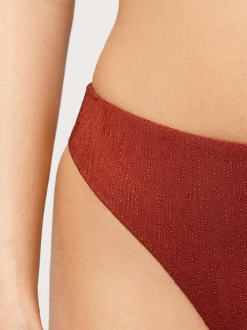 Tezenis Bikini Bottoms 'Paradise Bay' in Brown