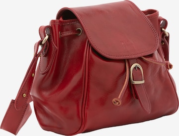 Viola Castellani Pouch in Red: front