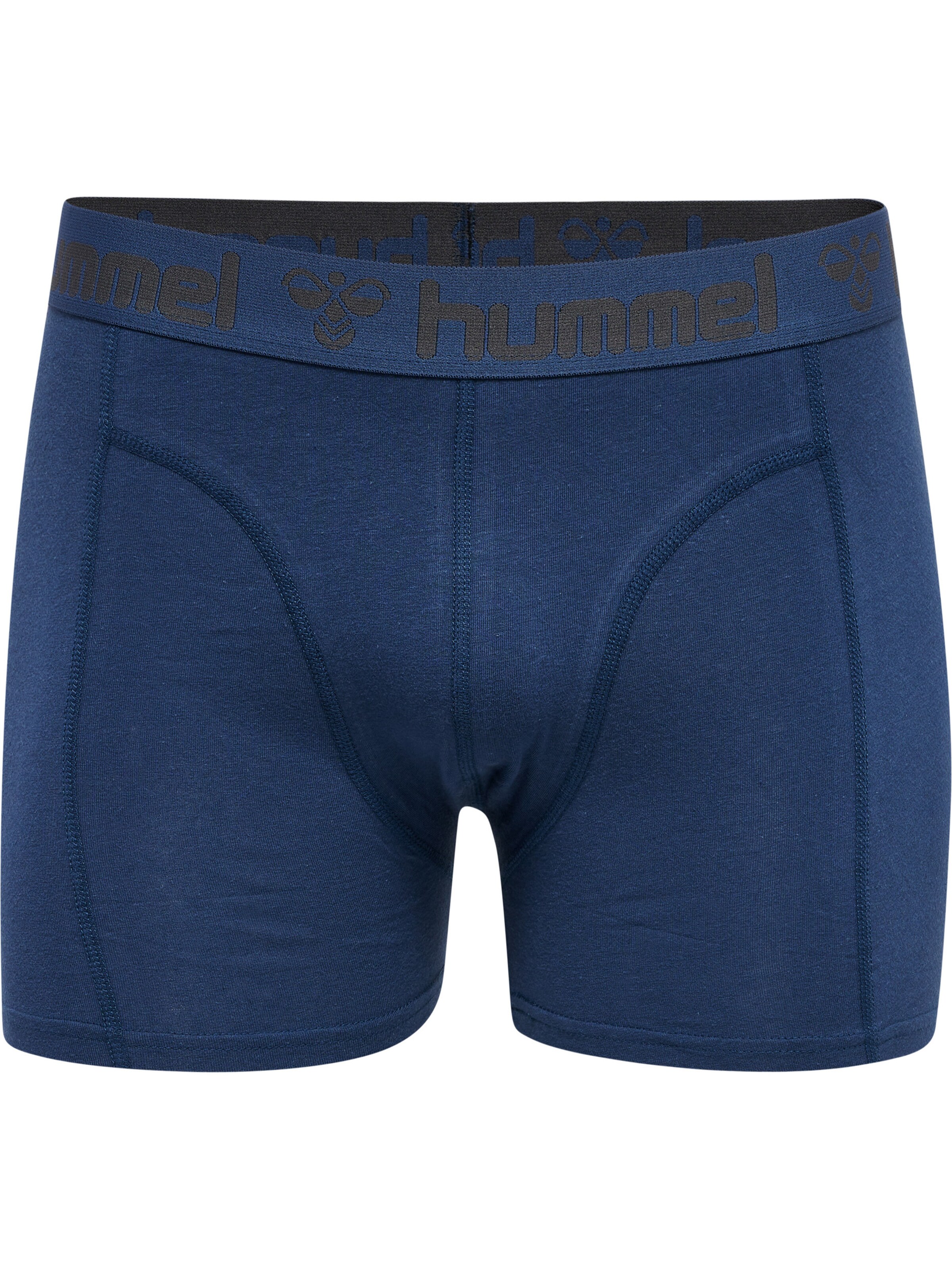 Hummel Boksershorts 'Marston' i blå