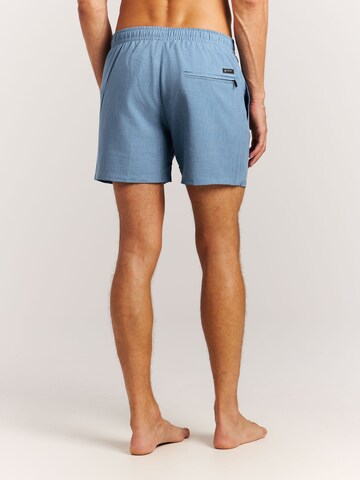 PROTEST Board Shorts 'Davey' in Blue