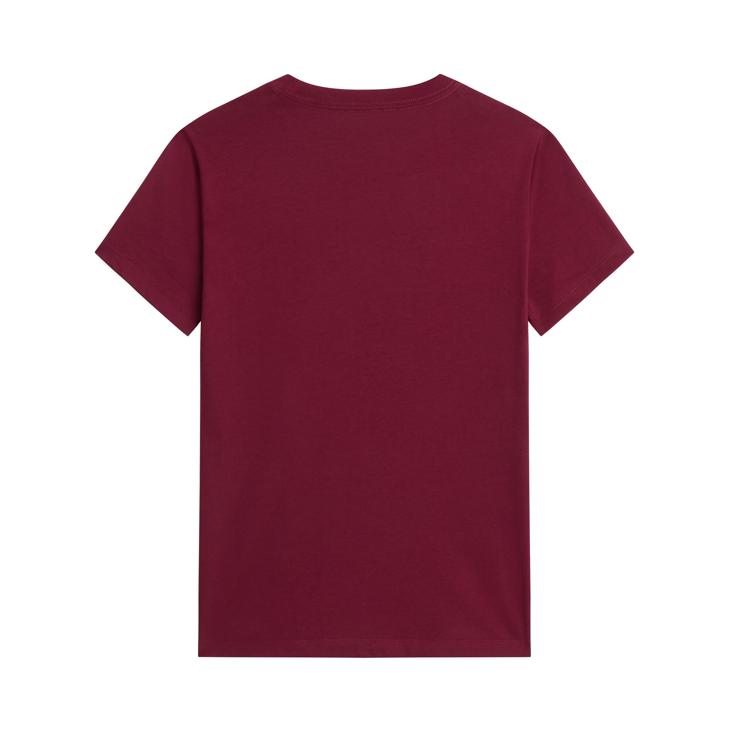 THE NORTH FACE T-Shirt 'Evolution Simple Dome' in Rot