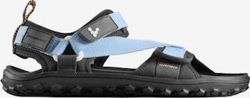 Vivo Barefoot Sandaalit 'TRACKER ORA' värissä sininen: etupuoli
