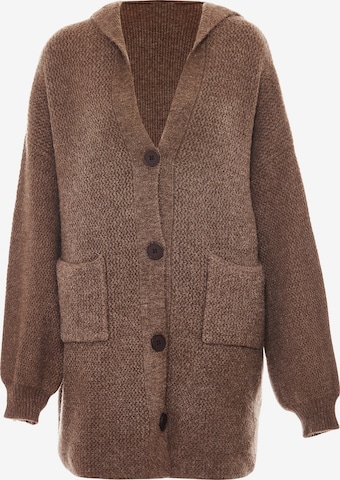 Tanuna Knit Cardigan in Brown: front