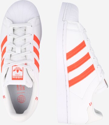 ADIDAS ORIGINALS - Sapatilhas baixas 'Superstar' em branco