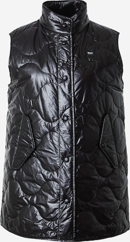 Blauer.USA Bodywarmer in Zwart: voorkant