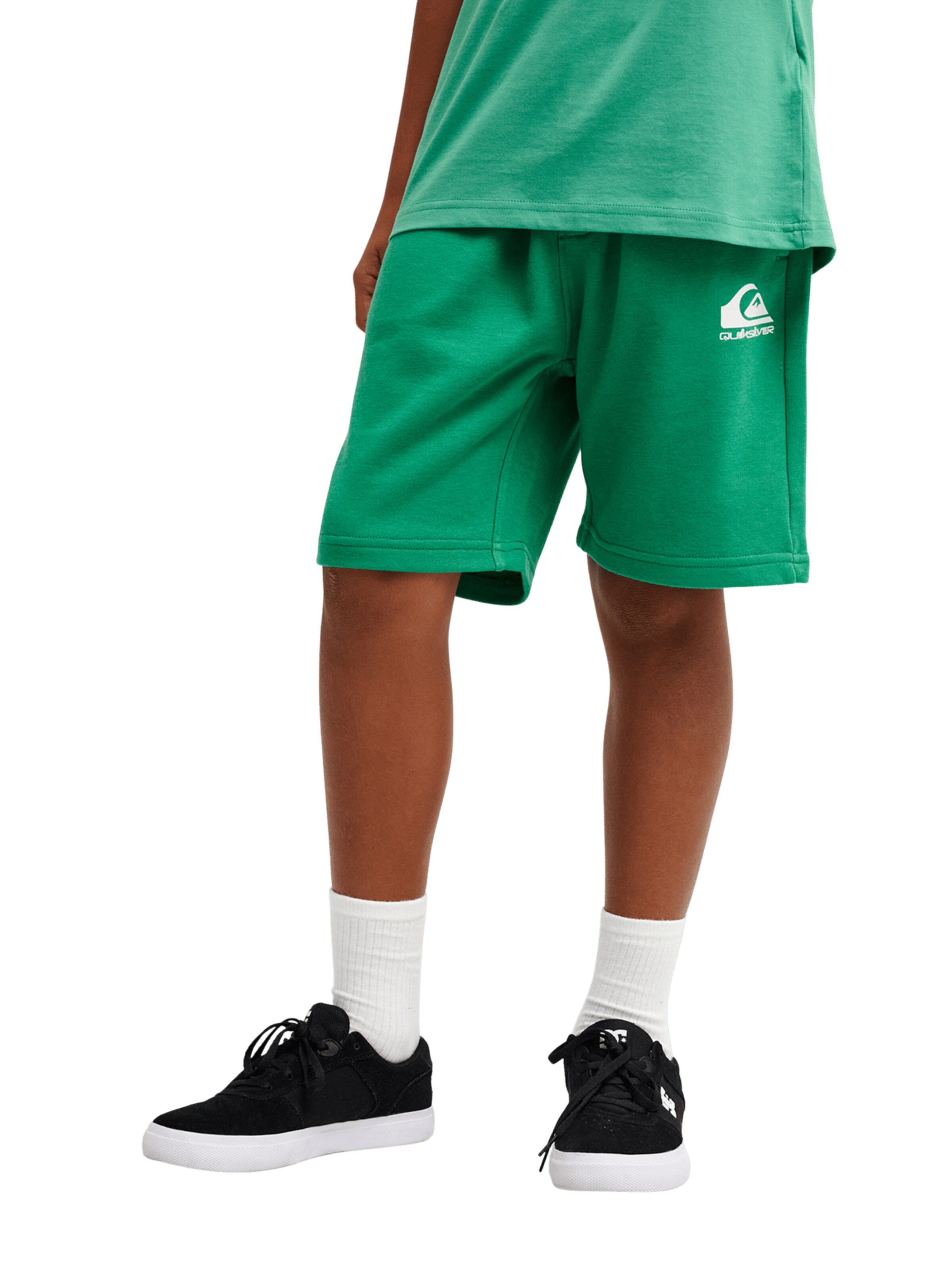 QUIKSILVER Pants ' Easy Day ' in Green: front