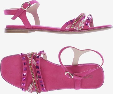 CATWALK Sandalen 39 in Pink: predná strana