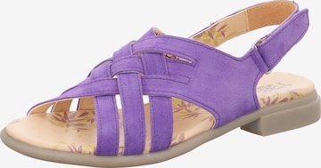 THINK! Strap Sandals 'Kamaa' in Purple: front